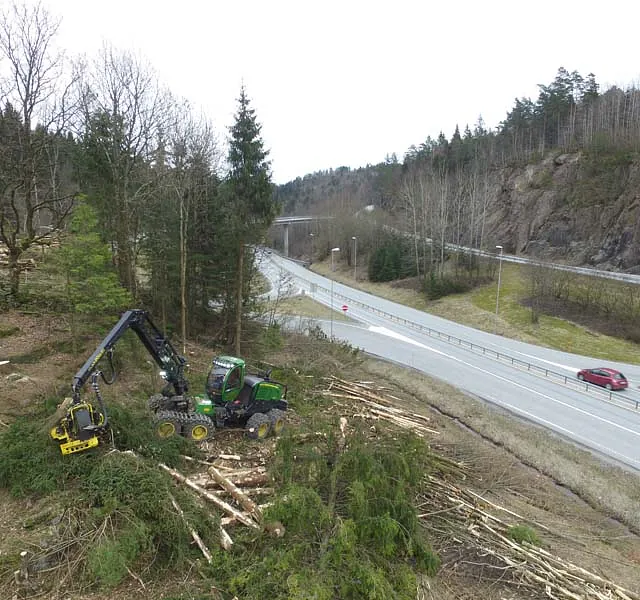 Hogging av trær ved motorvei